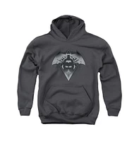 Batman V Superman Boys Youth Fear Pull Over Hoodie / Hooded Sweatshirt