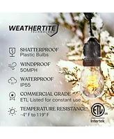 Brightech Ambience Pro 48ft Indoor/Outdoor Led String Lights with Spiral Buls