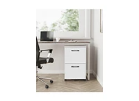 Slickblue Compact Industrial File Cabinet with 2 Drawers for Modern Storage Solutions