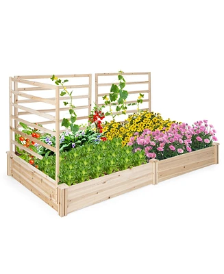 Costway Raised Garden Bed with 3 Trellises with Divided Compartments for Flowers