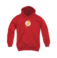 Justice League Boys of America Youth Rough Flash Pull Over Hoodie / Hooded Sweatshirt