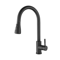 Streamdale Furniture Kitchen Faucet with Pull Out Sprayer