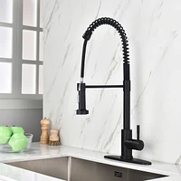 Streamdale Furniture Kitchen Faucet With Pull Out Sprayer