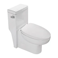 Ceramic One Piece Toilet