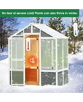 Polycarbonate Greenhouse for Outdoor Plant Gardening