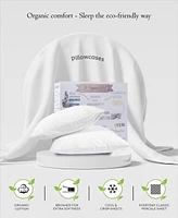 Purity Home 300 Thread Count Brushed Cotton Percale Pillowcase Pair, King