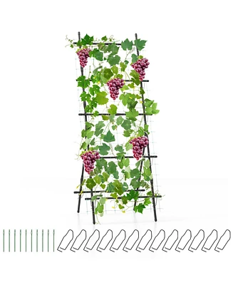 74" Garden Cucumber Trellis for Plant Climbing with Pe-Coated Frame, Trellis Net