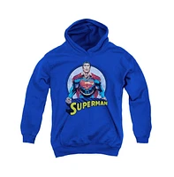 Superman Boys Youth Flying High Again Pull Over Hoodie / Hooded Sweatshirt