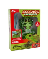 World Tech Toys Amazing Creatures Synthetic Dissection Kit - Frog