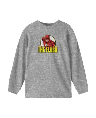 Dc Comics Boys The Flash Youth Athletic Heather Gray Long Sleeve Shirt