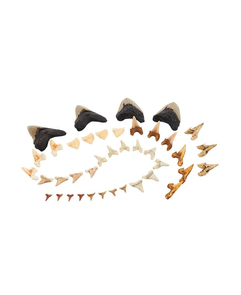 Kaplan Early Learning Super Shark Teeth Set - 40 Pieces - Assorted pre