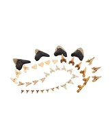 Kaplan Early Learning Super Shark Teeth Set - 40 Pieces - Assorted pre