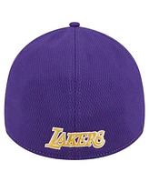 New Era Men's Heather Gray/Purple Los Angeles Lakers Two-Tone 39THIRTY Flex Hat