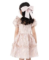 Rare Editions Toddler & Little Girls Puff-Sleeve Burnout Organza Dress