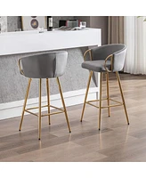26 Inch Set Of 2 Bar Stools, With Chrome Footrest And Base Velvet + Leg Simple Barstool