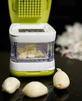 Rsvp International 5 Piece Plastic and Stainless Steel 2.8x2.8" Garlic Cube