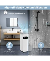 Costway Dehumidifier for Home Basement Portable 32 Pints with Sleep Mode up to 2500 Sq. Ft