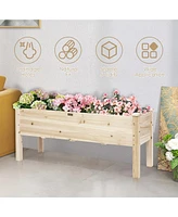 Raised Garden Bed Elevated Planter Box Wood