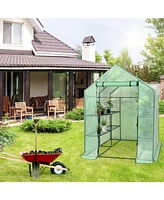 Inolait Sugift 8 shelves Mini Walk In Greenhouse Outdoor Gardening Plant Green House