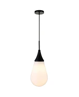 Hudson & Canal Ambrose 8.63" Wide Pendant with Glass Shade