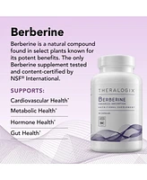 Theralogix Berberine Enhanced Absorption - 90-Day Supply - Made with Berberine Phytosome to Help Support Healthy Metabolism & Hormone Balance