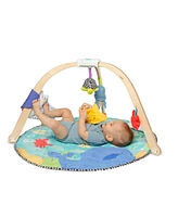 Melissa and Doug Ocean Easy-Fold Play Gym