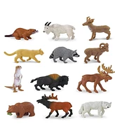 Kaplan Early Learning Animals from Across the Land Mini Set - Assorted pre