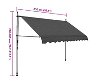 vidaXL Manual Retractable Awning with Led 98.4" Anthracite