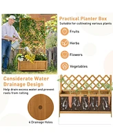 Planter Raised Bed with Trellis for Plant Flower Climbing