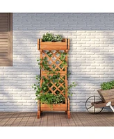 2-Tier Wooden Raised Garden Bed with Trellis