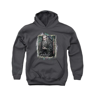 The Hobbit Boys Youth Gandalf Pull Over Hoodie / Hooded Sweatshirt