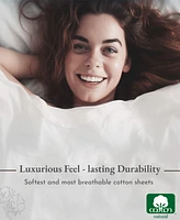 Soft Cotton Bed Sheet Set Twin Xl - 400 Thread Count 100% Sateen