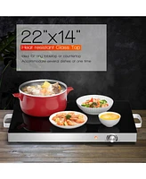 22 x 14 Inch Electric Warming Tray Hot Plate Dish Warmer with Adjustable Temperature
