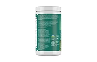 Garden of Life Perfect Food Super Green Formula Powder