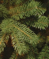 National Tree Company 7.5 ft. Newberry Spruce Hinged Tree