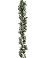 National Tree Company Hgtv Home Collection Pre-Lit Black Tie Cedar Garland 9 ft.