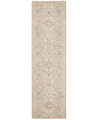 Safavieh Blossom Ii BLM701 2'3x8' Runner Area Rug