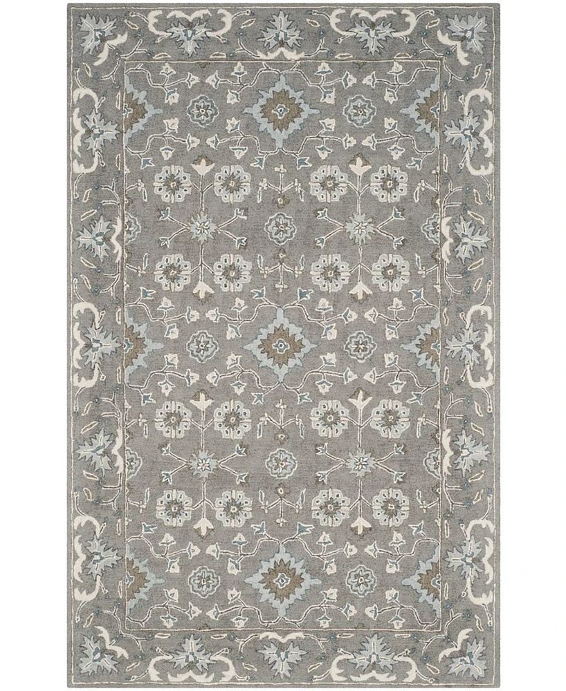 Safavieh Blossom Ii BLM218 5'x8' Area Rug