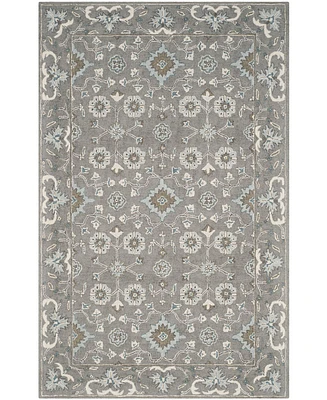 Safavieh Blossom Ii BLM218 5'x8' Area Rug