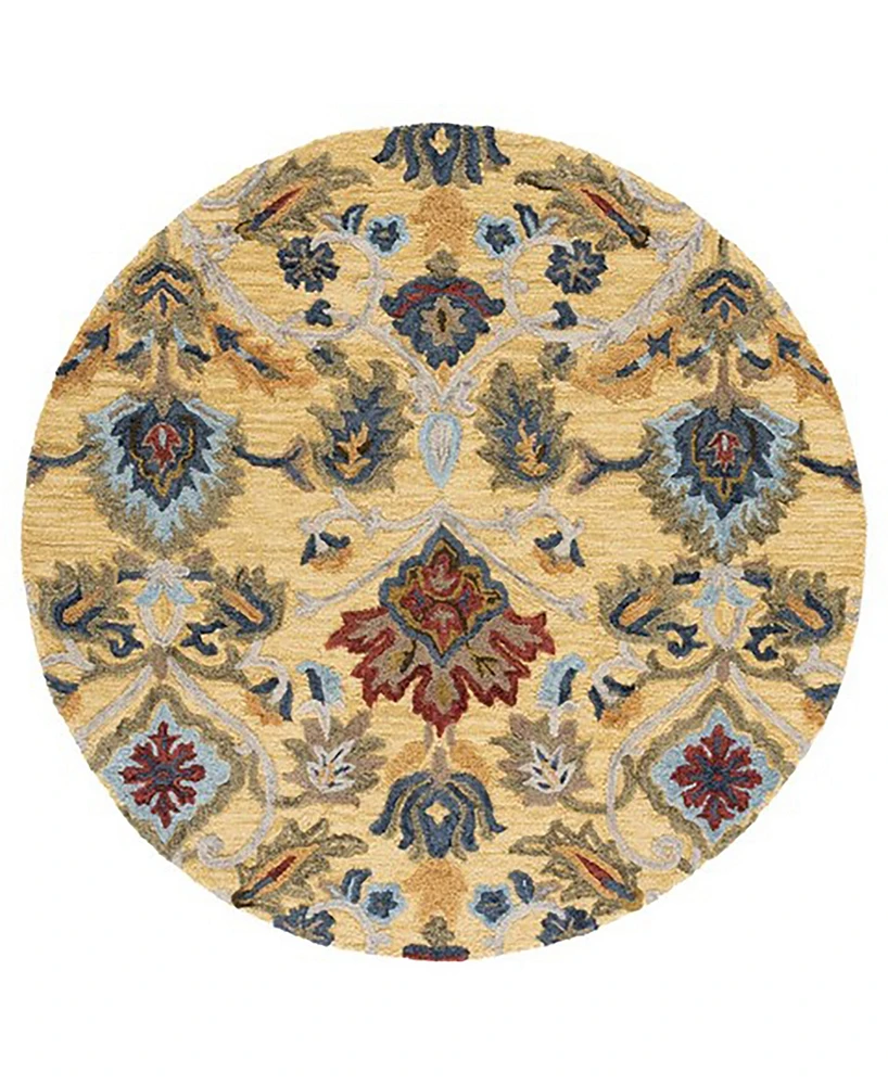 Safavieh Blossom Ii BLM402 8'x8' Round Area Rug