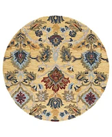 Safavieh Blossom Ii BLM402 8'x8' Round Area Rug