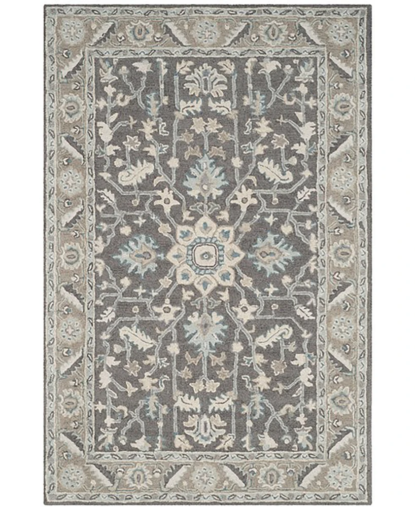 Safavieh Blossom Ii BLM217 3'x5' Area Rug