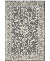 Safavieh Blossom Ii BLM217 3'x5' Area Rug