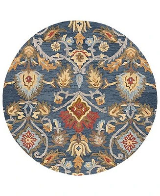 Safavieh Blossom Ii BLM402 7'x7' Round Area Rug