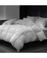 East Coast Bedding Pure Dream 10% Down and 90% Down Fiber Duvet Queen Size