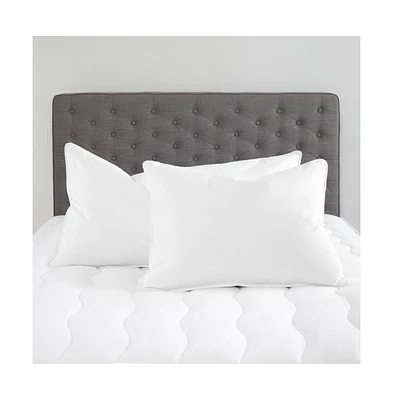Standard Textile Home Chamber Down Pillow (Chamberloft) Set of 2, Standard, White