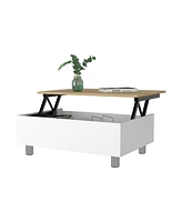 Fm Furniture Boston Top Coffee Liftable Table