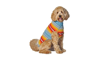 Chilly Dog Xs Turq Serape