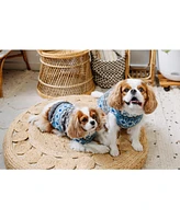 Chilly Dog Light Blue Fairisle