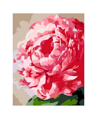 Artwille Paint by Number Kit Peony Flower - Assorted Pre